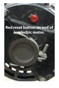 Compressor motor reset button on one model of compressor motor