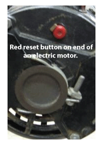 Compressor motor reset button on one model of compressor motor.