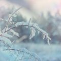 Running An Air Compressor In Cold Weather Months