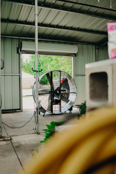 big fan inside a green house